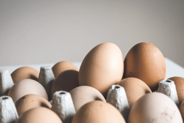 One Egg per day can Changes your life