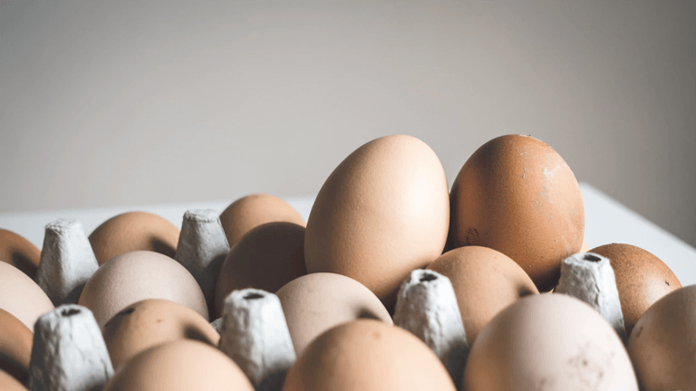 One Egg per day can Changes your life